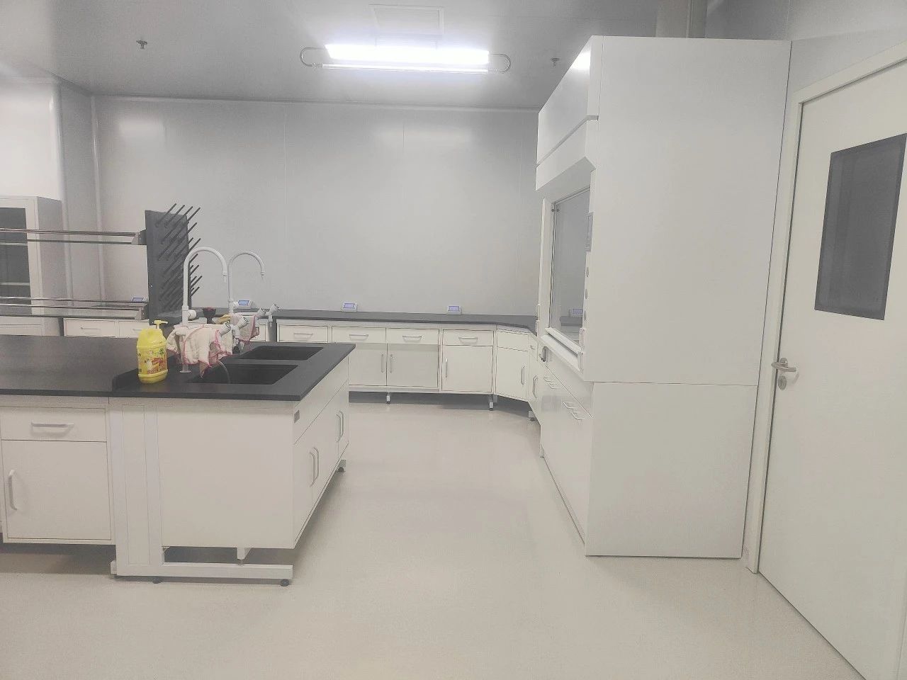 Elevating Food Safety in Fresh Food Processing with Advanced Flooring Paint