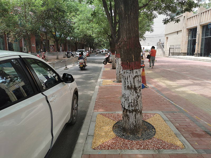 Sponge City Permeable Paving